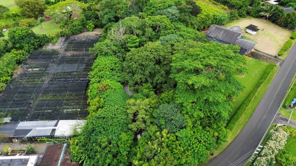 Kanaka yard maintenance llc 1