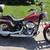 2004 HARLEY FXST SOFTAIL STANDARD 1 thumbnail