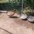 Ducks 2 thumbnail