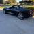 2014 Corvette Convertible Z51 3 thumbnail