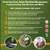 PROFESSIONAL /REMOVAL/ TRIMMING/PLANTING/TREE SERVICES 25% DISCOUNTS 9 thumbnail