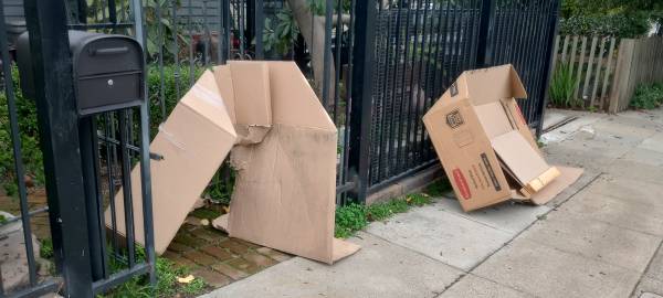 cardboard 1