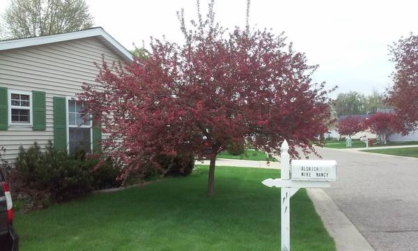 $165,000 / 3br - 1426ft2 - Modular Home For Sale: 1995 Rochester, 3 Beds, 2 Baths in Williamston (Williamston)64196989852417121