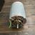1/2 electric motor 2 thumbnail