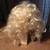 LOT OF 5 WOMEN'S WIGS BLOND BLACK CURLY BLACK & WHITE BRIDE OF FRANKEN 12 thumbnail
