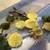TURTLES 1 thumbnail