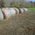 Net wrapped rolled hay 1 thumbnail