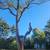 Trees cutting n virginia 2 thumbnail