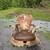 Moose Antler Rocking Chair 3 thumbnail