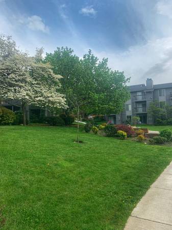 $1,355 / 450ft2 - ¿Busca un apartamento en el piso inferior? ¡Tenemos uno para usted! (Kent)63688567560193122