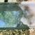 Back truck window 5 thumbnail