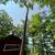 K2 Tree service/ Logging 23 thumbnail