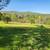 3.3 acres available in beautiful Copperopolis 8 thumbnail