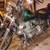 1996 Harley-Davidson Dyna 1 thumbnail