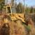 Ford 655A backhoe 3 thumbnail