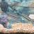 Dovii fish 1 thumbnail