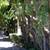 1638 Hearst Ave. Apt 1F Clean, Bright quiet 2 bedroom, an end unit 1 thumbnail
