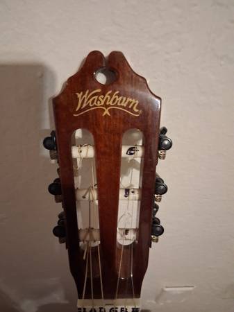 Washburn aq  elect 1