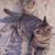 Teenage cats need homes 4 thumbnail