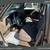 1994 Ford Ranger, Regular Cab Splash MANUAL 5-SPD 109K Miles 10 thumbnail