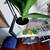 Assorted house plants, 4 thumbnail
