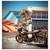 2019 Kawasaki w800 5 thumbnail