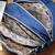 Medium size Backpack $40 4 thumbnail