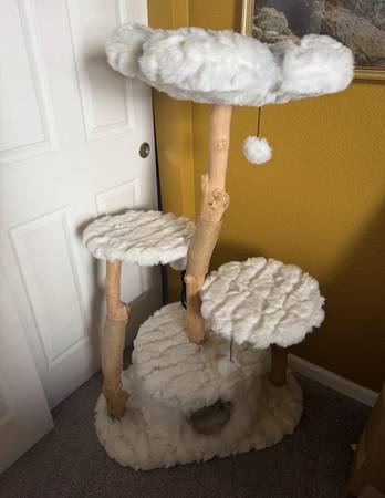 Cat tree $100601257877659996162