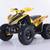ATV-Quad  New-Kids Sport  125-EFI  Green Sticker 8 thumbnail