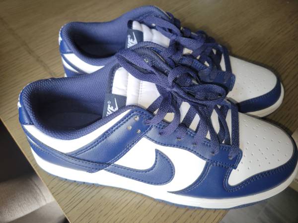 Nike Panda Dunks 1