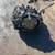 ★ 2009-2014 NISSAN MURANO- AUTOMATIC TRANSMISSION-#M17693 ★ 3 thumbnail