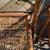Set of 3 vintage tortoiseshell bamboo folding chairs A207 8 thumbnail