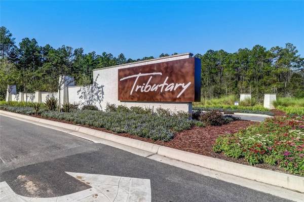 Saffron Ln - Tributary, Yulee, Fl 1