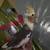 Cockatiels 6 thumbnail