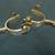 Spurs custom hand crafted Stainless / Brass excellent condition 2 thumbnail