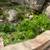 Hollywood Hills Cottage - Short Term Rental 21 thumbnail