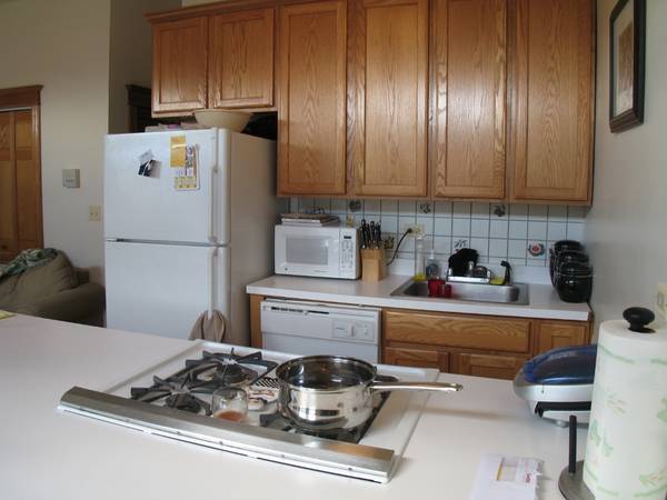 $2,395 / 1br - 713 W. Wrightwood Ave. Unit 2R (Park West)63898598775171121