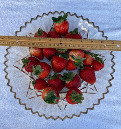 Cuenco vintage de cristal tallado para frutas, centro de mesa, cuenco para servir 11" - $8 (San Diego-Ocean Beach)63471472617857122
