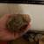 Quail Chicks and Quail Eggs 3 thumbnail