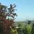 2bd house Hayward foothills 18 thumbnail