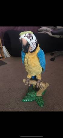 Talking Parrot on Perch - Batteries - 13" tall 1