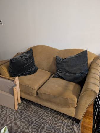 Loveseat couch 1
