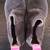 Mini Boden size 26 boots 1 thumbnail