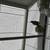 Black Hooded Siskins 3 thumbnail