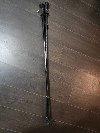 Ski Poles 1
