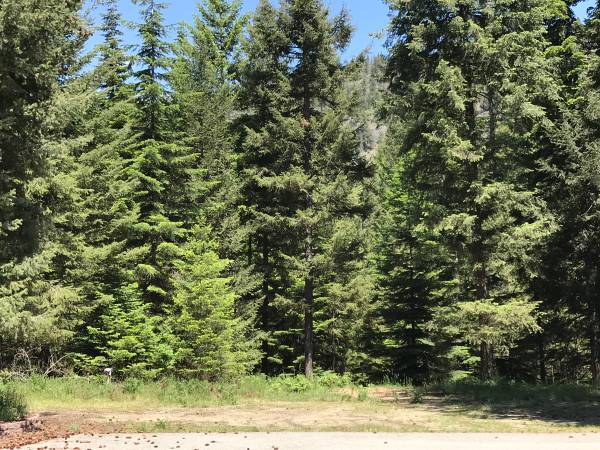 Private room for rent 1