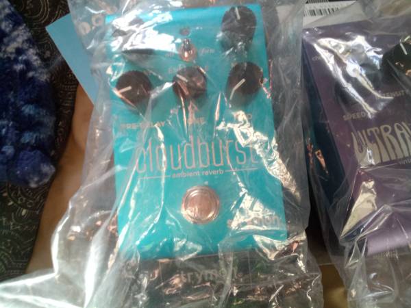 Strymon pedals/TC pedal 1