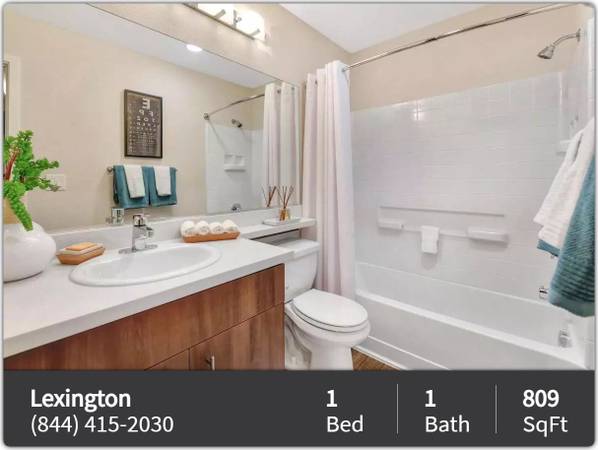 $2,667 / 1br - 809ft2 - Four-legged friends welcome! Enjoy our pet-friendly 1 BD / 1 BA. (Agoura Hills)63876485640067120