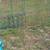 Yard decor 3 thumbnail