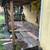 PAINTER/ PAINTING/ HANDYMAN/ FLOORING / REMODEL/ 585 - 490 - 0375 8 thumbnail